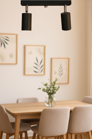 Parma Avize Modern Metal 2’li  Tavana Yakın Mafsallı Siyah Gövde  Ampüllü Tasarım Lüks Aydınlatma