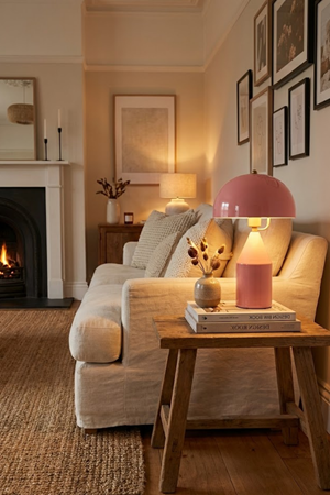 Toms Pembe Masa Lambası Modern Dekoratif Metal Tasarım Şık Aydınlatma